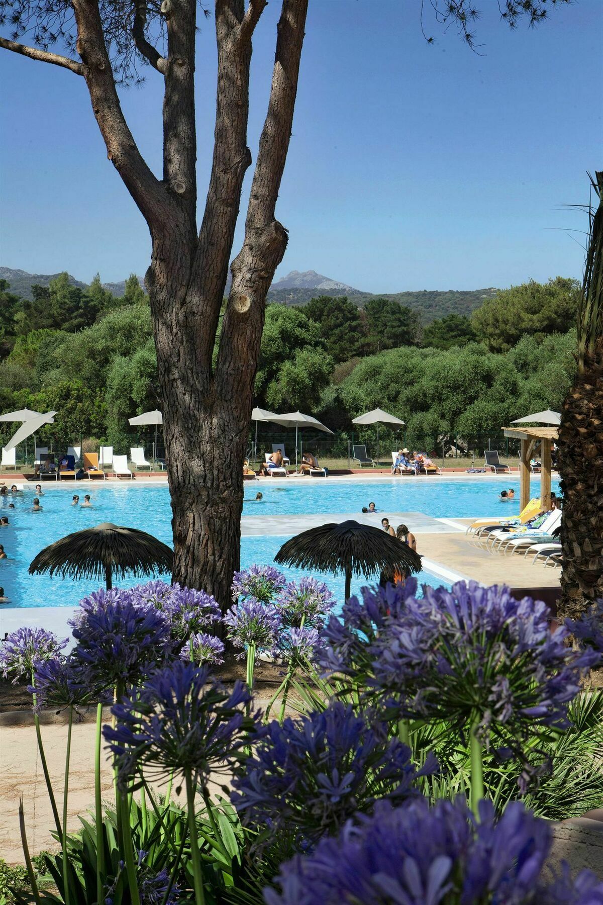 Belambra Clubs Belgodere - Golfe De Lozari Hotel Exterior photo